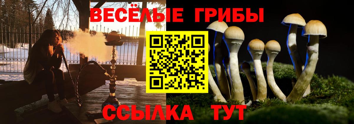 Галлюциногенные грибы Cubensis  Вход с VPN  Камышин 